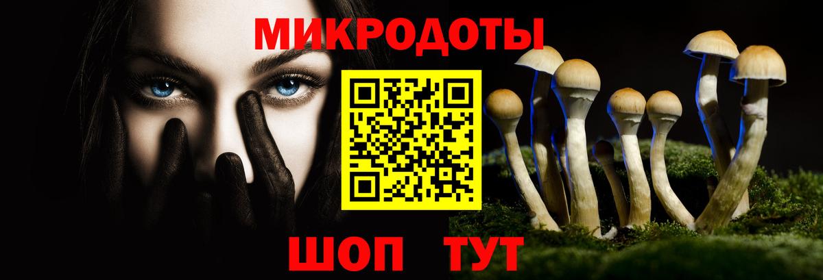 Псилоцибиновые грибы прущие грибы Павловский Посад